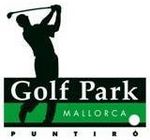 Logo Puntir&oacute;