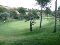 Real Golf de Bendinat - Approach Fl&auml;che