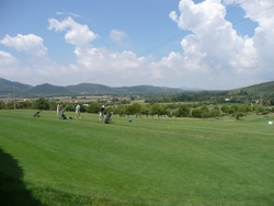 Driving Range Rasen