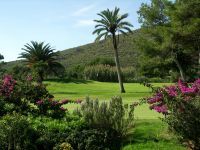 Golfplatz mit Palma und Sträucher